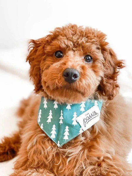 Bandana Pour Chien - Motif Forest Sapin - The Paws â Image 3