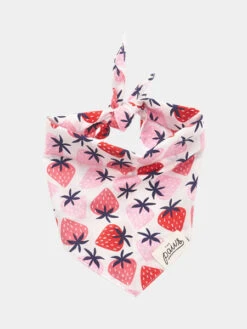 Bandana Pour Chien - Motif Fraise - The Paws
