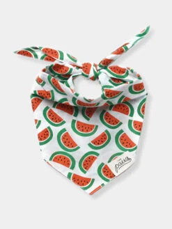 Bandana Pour Chien - Motif Pastèque 🍉 - The Paws