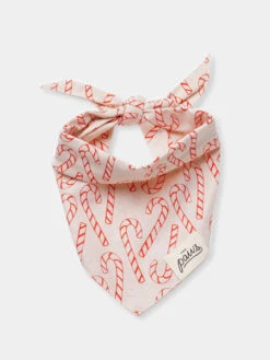 Bandana D'Hiver Pour Chien - Sucre D'orge Elfie - The Paws