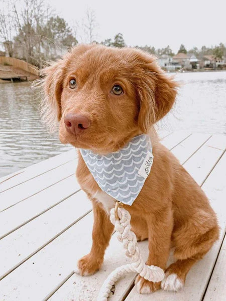 Bandana Pour Chien - Motif Vague - The Paws â Image 2