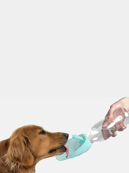 Gourde Et Distributeur D'eau Portable Leaf - Rose - United Pets – Image 3