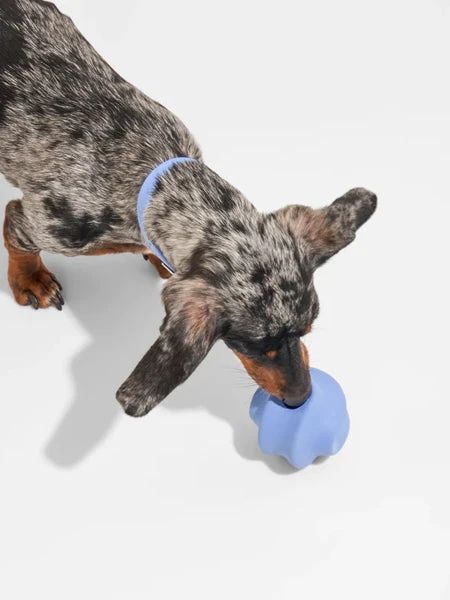 Balle Twist Toss Pour Chien - Bleu Ciel - Wild One – Image 3