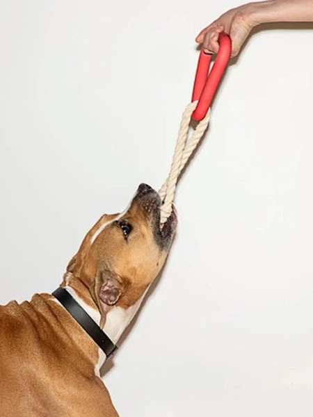 Triangle En Caoutchouc Et Corde Pour Chien - Rouge - Wild One – Image 2