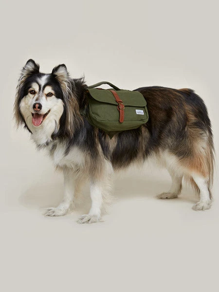 Ranger Pack - Sac à Dos Pour Chien - Vert Foret - Wolf Republic – Image 4