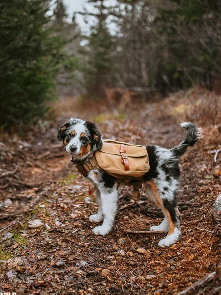 Ranger Pack - Sac Ă Dos Pour Chien - Whiskey - Wolf Republic â Image 3