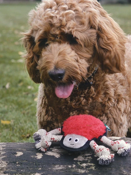 Peluche Pour Chien écologique - Araignée - Beco Pets – Image 2