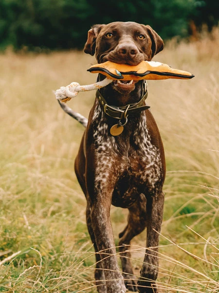 Peluche Pour Chien Ă©cologique - Kangourou - Beco Pets â Image 2