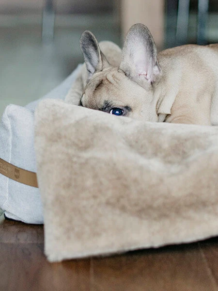 Plaid Confortable Pour Chien Et Chiot - NAP - Gris – Image 7