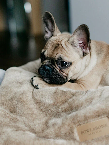 Plaid Confortable Pour Chien Et Chiot - NAP - Gris – Image 5