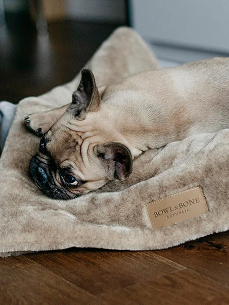 Plaid Confortable Pour Chien Et Chiot - NAP - Gris – Image 6