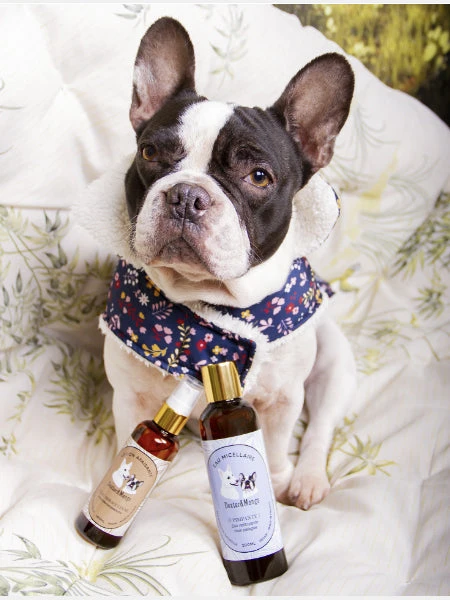 Lotion Apaisante Anti-démangeaisons - L'eau Miraculeuse - Dexter & Mango – Image 3