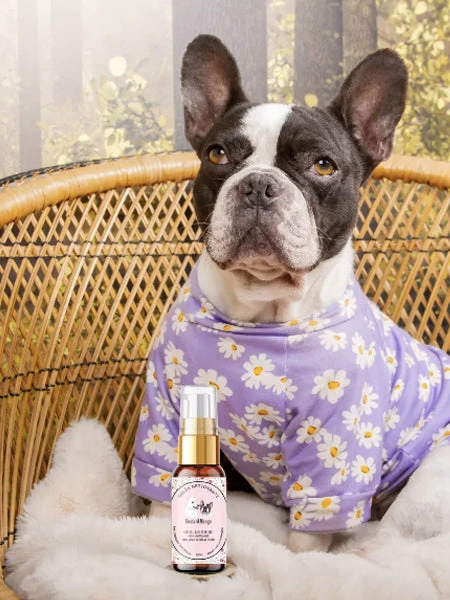 Gelée Nettoyante Soin Des Yeux - Œil De Biche - Dexter & Mango – Image 2