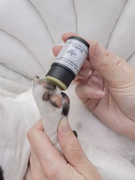 Stick Doux Coussinets đŸ Pour Chien - Dexter & Mango â Image 2