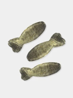 Lot De 3 Sticks De Morue En Forme De Poisson - Icepaw