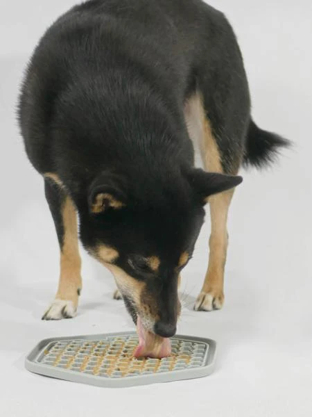 Tapis D'occupation Pour Chien Et Chat - Sable â Image 10