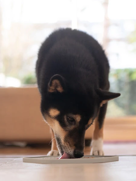 Tapis D'occupation Pour Chien Et Chat - Sable â Image 8