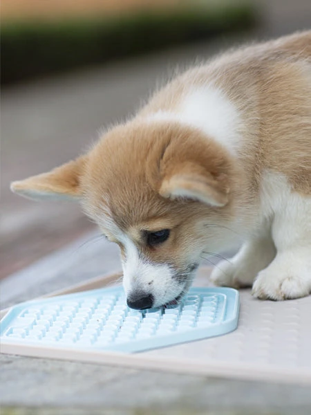 Tapis D'occupation Pour Chien Et Chat - Sable â Image 2