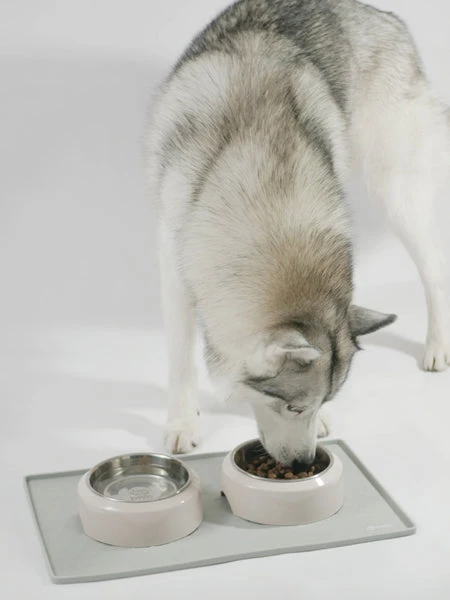 Tapis De Gamelle Pour Chien Et Chat - Sable – Image 4