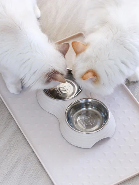 Gamelle Double TWINOO Pour Chat - Sable â Image 2