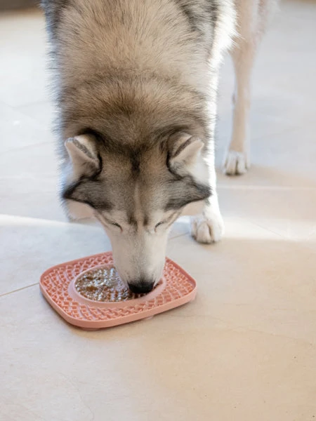 Tapis De Léchage 🍽️😋 Pour Chien Et Chat - YoomY Plate - Dusty Pink - Inooko – Image 3