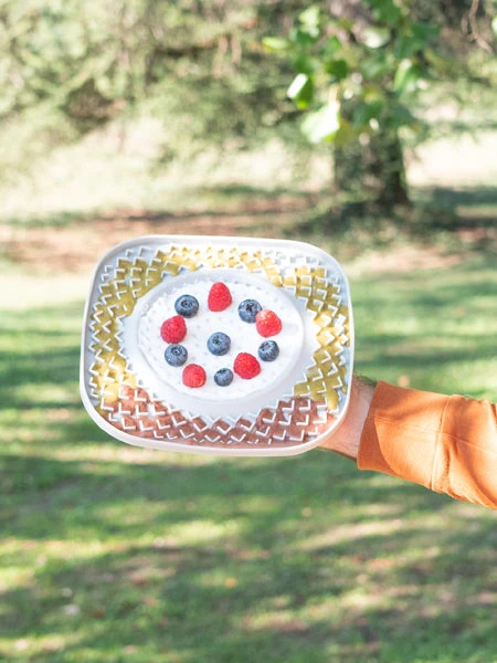 Tapis De Léchage 🍽️😋 Pour Chien Et Chat - YoomY Plate - Gris - Inooko – Image 2