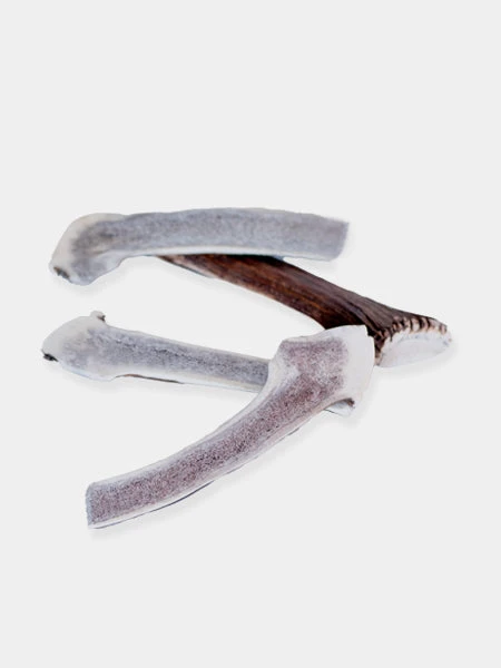 Bois De Cerf Tranché à Mâcher Naturel Pour Chien – Image 2