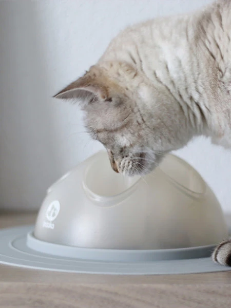 Cat Igloo - Jouet Interactif Pour Chat - Gris â Image 6