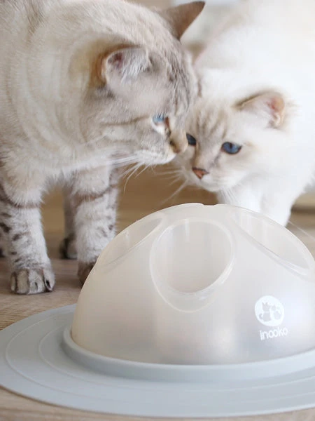 Cat Igloo - Jouet Interactif Pour Chat - Gris â Image 8