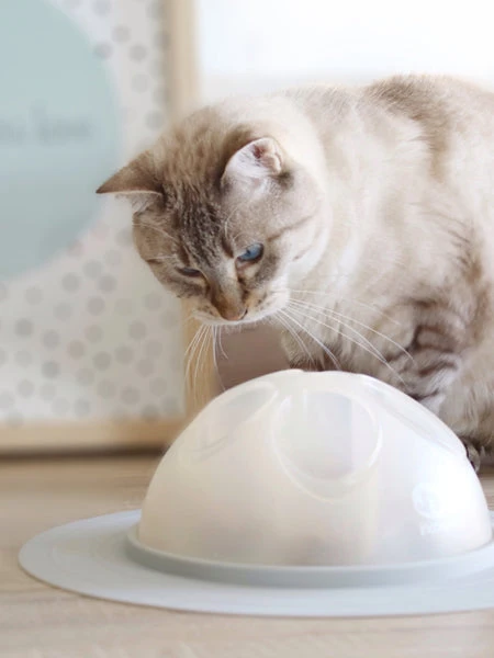 Cat Igloo - Jouet Interactif Pour Chat - Gris â Image 2