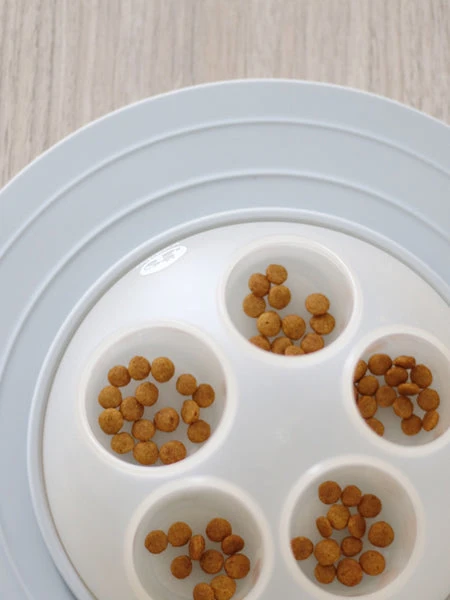 Cat Igloo - Jouet Interactif Pour Chat - Gris â Image 4