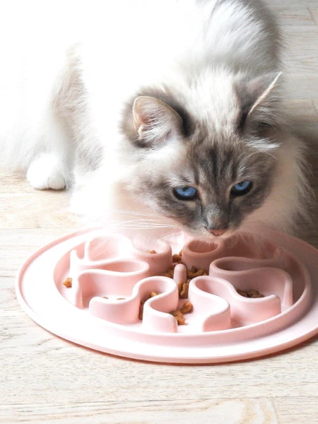 Gamelle Anti-glouton Bleu Pastel â Image 2