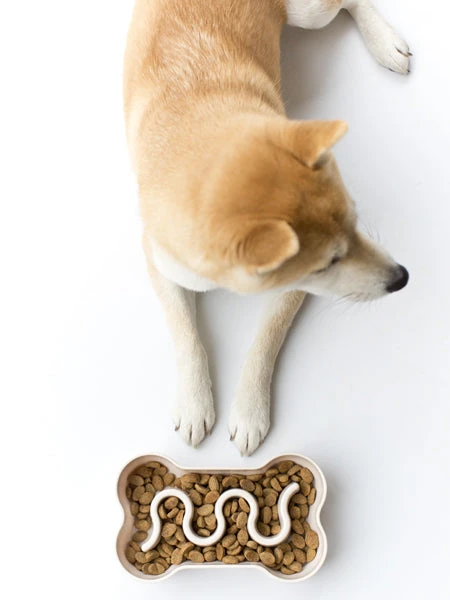 Gamelle Anti-glouton Gris Foncé – Image 6