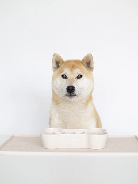 Gamelle Anti-glouton Gris Foncé – Image 2