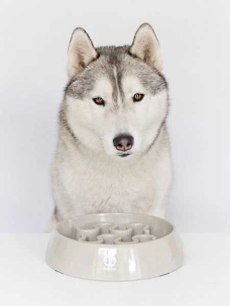 Gamelle Anti-glouton Grand Chien - Gris – Image 2