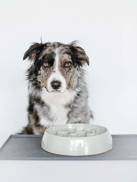 Tapis De Gamelle Pour Chien Et Chat - Gris Foncé – Image 2