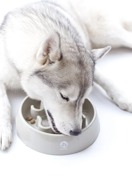 Gamelle Anti-glouton Grand Chien - Rouge – Image 6