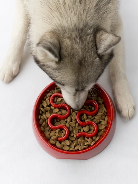 Gamelle Anti-glouton Grand Chien - Rouge – Image 2