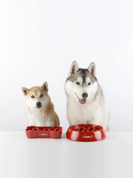 Gamelle Anti-glouton Grand Chien - Gris – Image 6