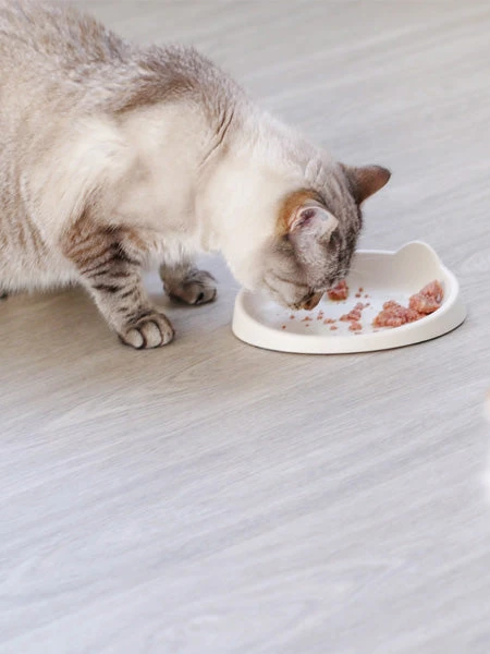 Gamelle MEOOW Pour Chat - Sable – Image 2