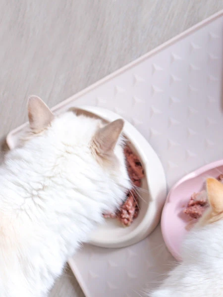 Gamelle MEOOW Pour Chat - Sable – Image 4