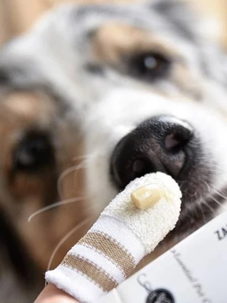 Dentifrice Naturel Pour Chien Et Chat – Image 2