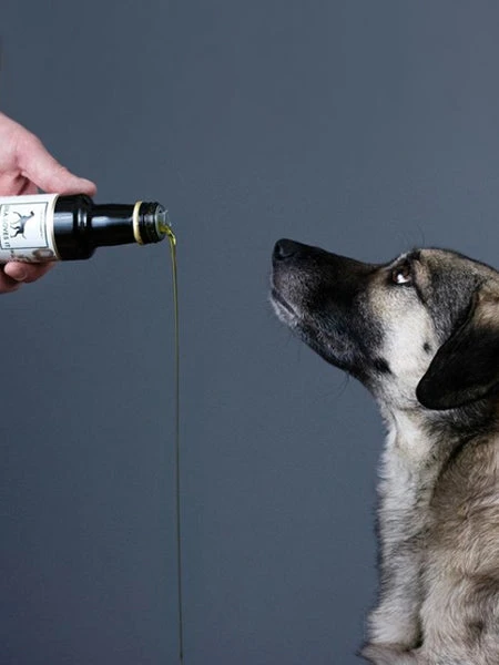 Mélange De 5 Huiles Pour Chien – Image 2