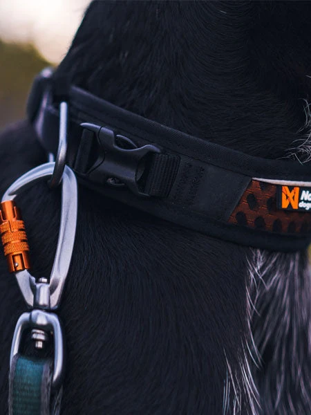 Collier Pour Chien - Rock Adjustable Collar - Non-Stop Dogwear â Image 4