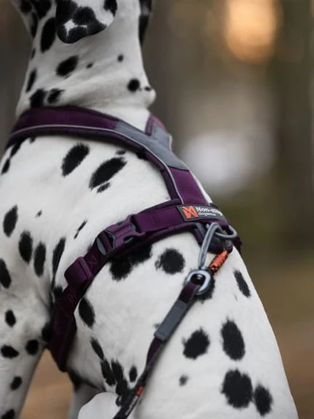 Harnais Pour Chien - Line Harness 5.0 - Violet - Non-Stop Dogwear – Image 2