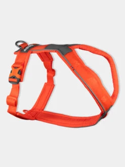Harnais Pour Chien - Line Harness 5.0 - Orange - Non-Stop Dogwear