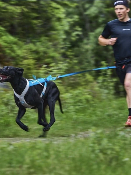 Non-stop Dogwear Harnais Pour Chien - Freemotion Harness 5.0 - Bleu/Gris â Image 3