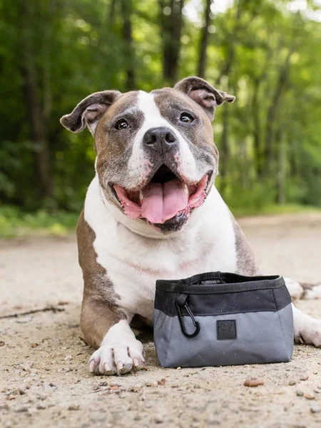 Gamelle De Voyage Pour Chien - Landscape Series - Eclipse – Image 2