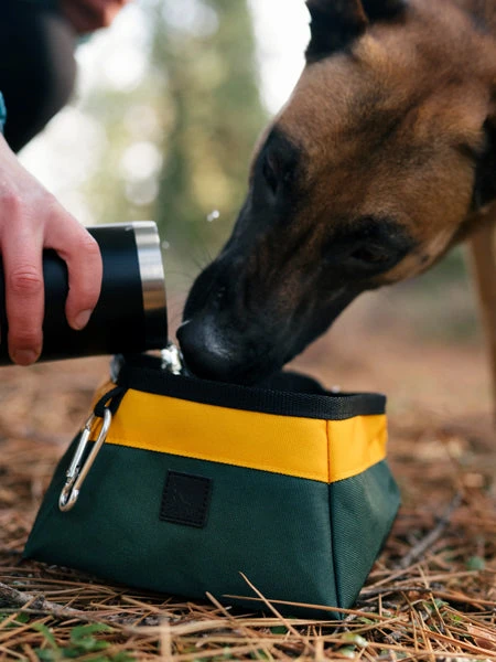 Gamelle De Voyage Pour Chien - Landscape Series - Moss – Image 2
