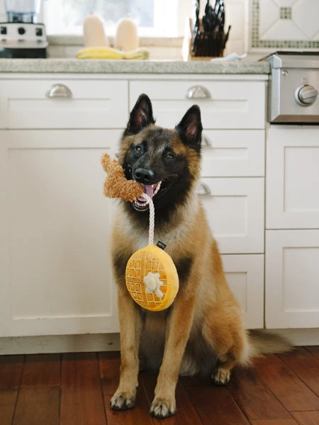 Jouet En Peluche Pour Chien - Barking Brunch - Gaufre Au Poulet - Pet PLAY – Image 2